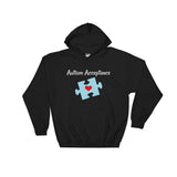 Autism Acceptance Awareness Puzzle Piece Hoodie Sweatshirt - Choose Color - Sunshine and Spoons Shop