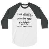 I'm Not So Silently Correcting Your Grammar 3/4 Sleeve Unisex Raglan - Choose Color - Sunshine and Spoons Shop