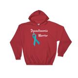 Dysautonomia Warrior POTS Awareness Hoodie Sweatshirt - Choose Color - Sunshine and Spoons Shop