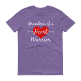 Grandma of a Heart Warrior CHD Heart Defect Unisex Shirt - Choose Color - Sunshine and Spoons Shop