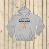 I'm Not Clumsy. This is My MS Warrior Dance Multiple Sclerosis Hoodie Sweatshirt - Choose Color - Sunshine and Spoons Shop
